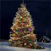http://avatarko.ru/avatars/prazdniki/elka.gif