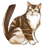 Коты, аватар