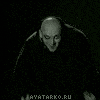 Фестер Адамс