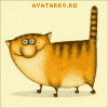Анимированный кот