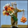 Кот из рекламы