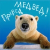 Превед медвед