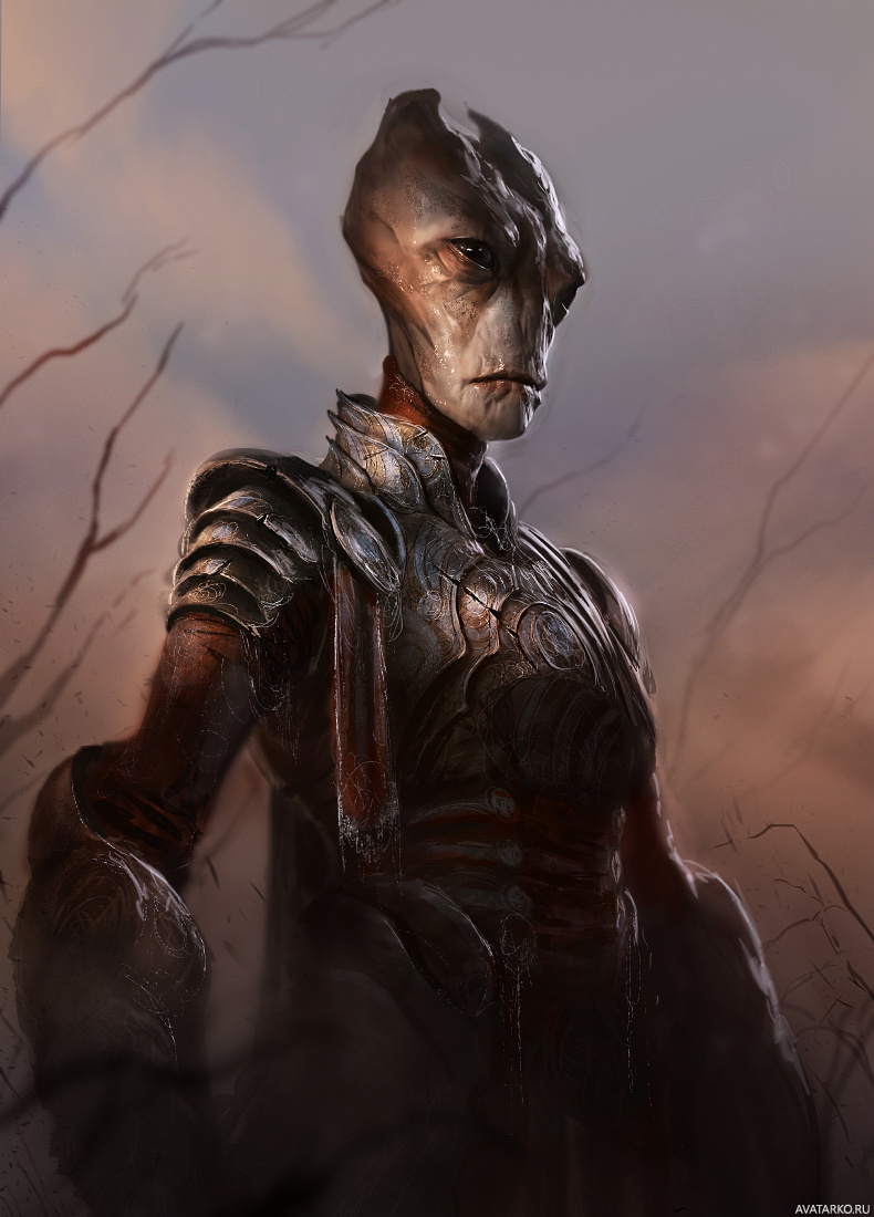 Картинка 790x1100 | Саларианец в доспехах из игры Mass Effect | Игры, Mass Effect, Мордин из Масс Эффекта, картинка на аву
