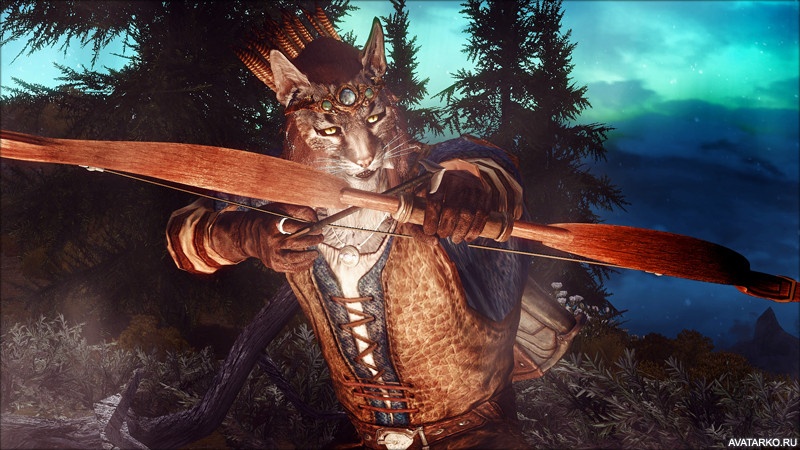 Картинка 800x450 | Скриншот из игры The Elder Scrolls с каджитом, стреляющим из лука | Игры, The Elder Scrolls, Каджиты, картинка на аву