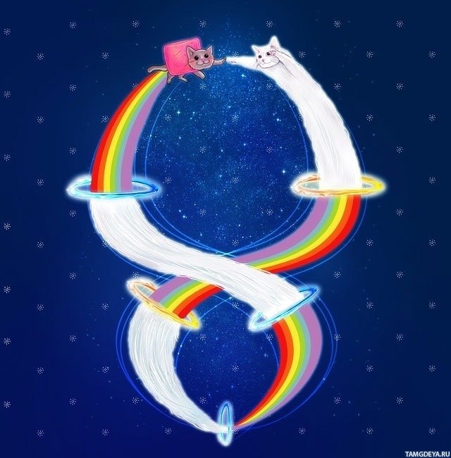 Картинка 640x650 | Нянкэт (Nyan Cat) и длиннокот (Longcat) встречаются в космосе | Коты, Прикол,   картинка на аву