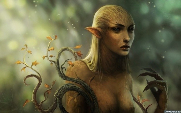 Картинка 700x437 | Дриада-блондинка с когтистыми лапами | Фантастика, Дриады, картинка на аву